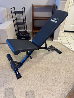 MOVING SALE: FLYBIRD Adjustable Weight Bench (800lb Capacity) – Foldable