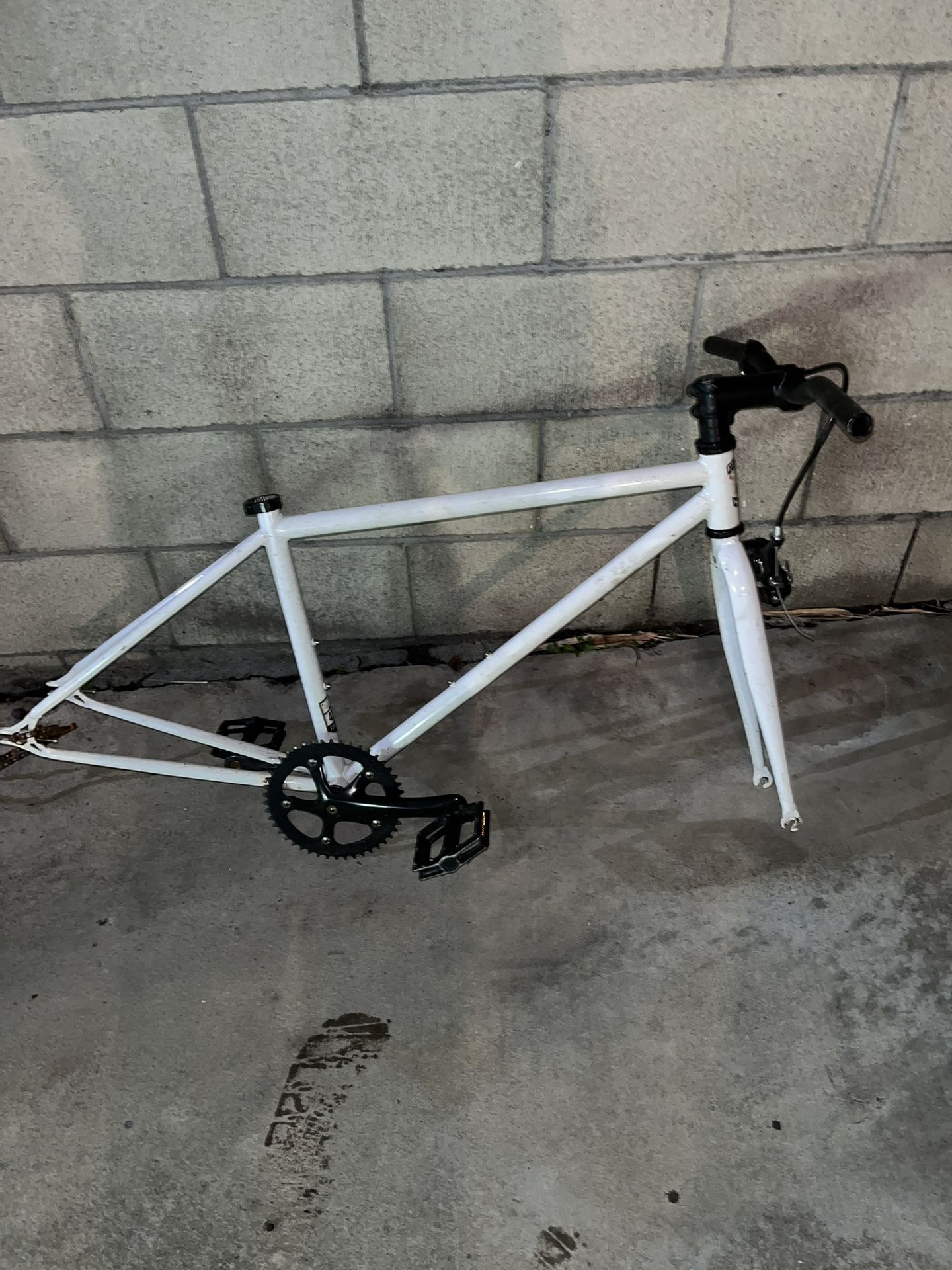 Golden Cycle 41”