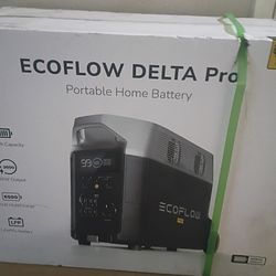 EcoFlow DELTA Pro Generator