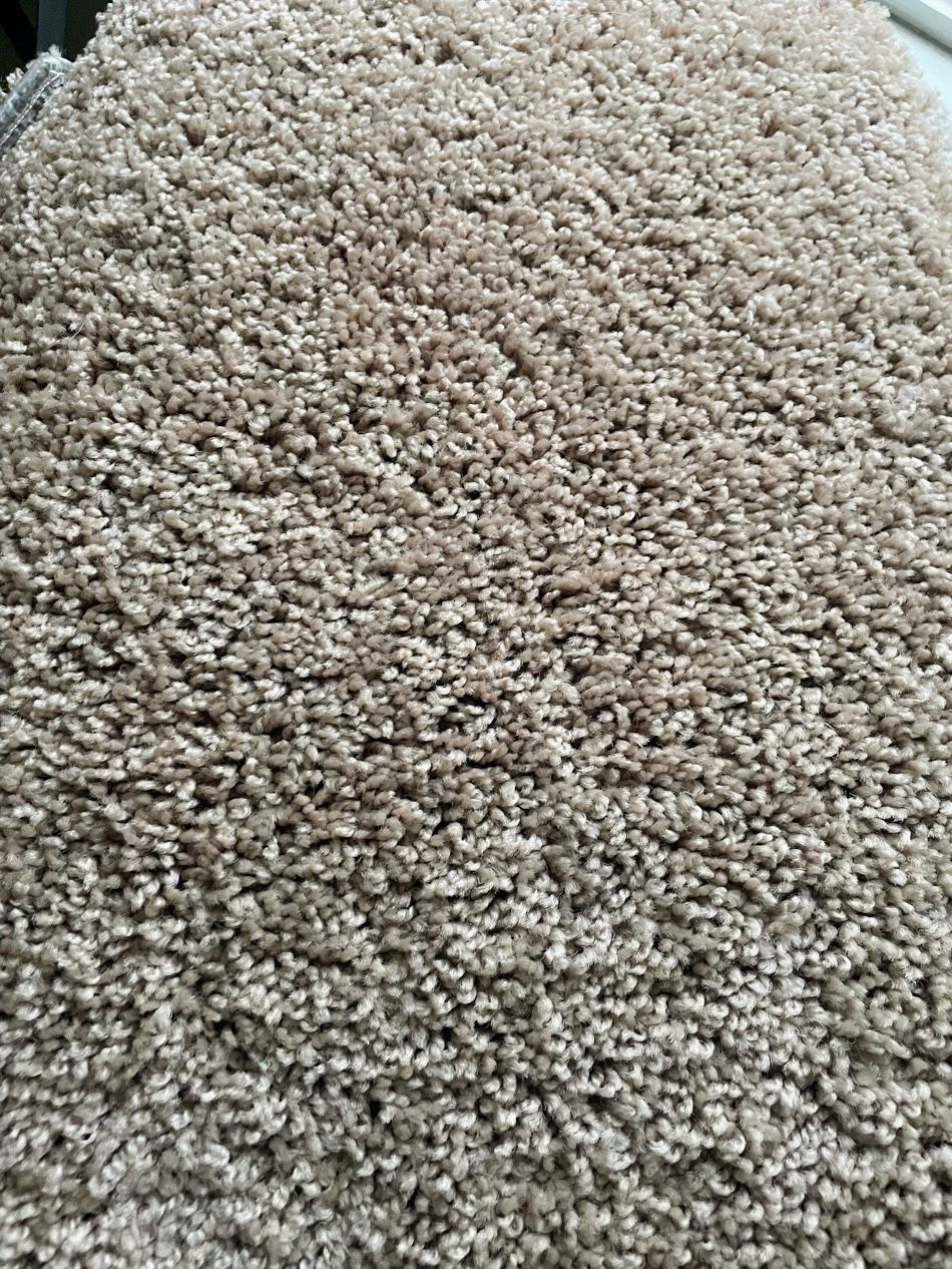Carpet16x12 Toffe Color $150 Firm