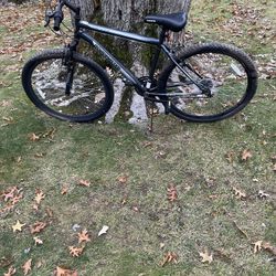 29” Mountain Bike 