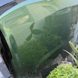 2021-2025 Ford bronco hood Green