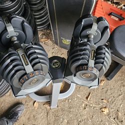 Dumbells Weights With Rack 