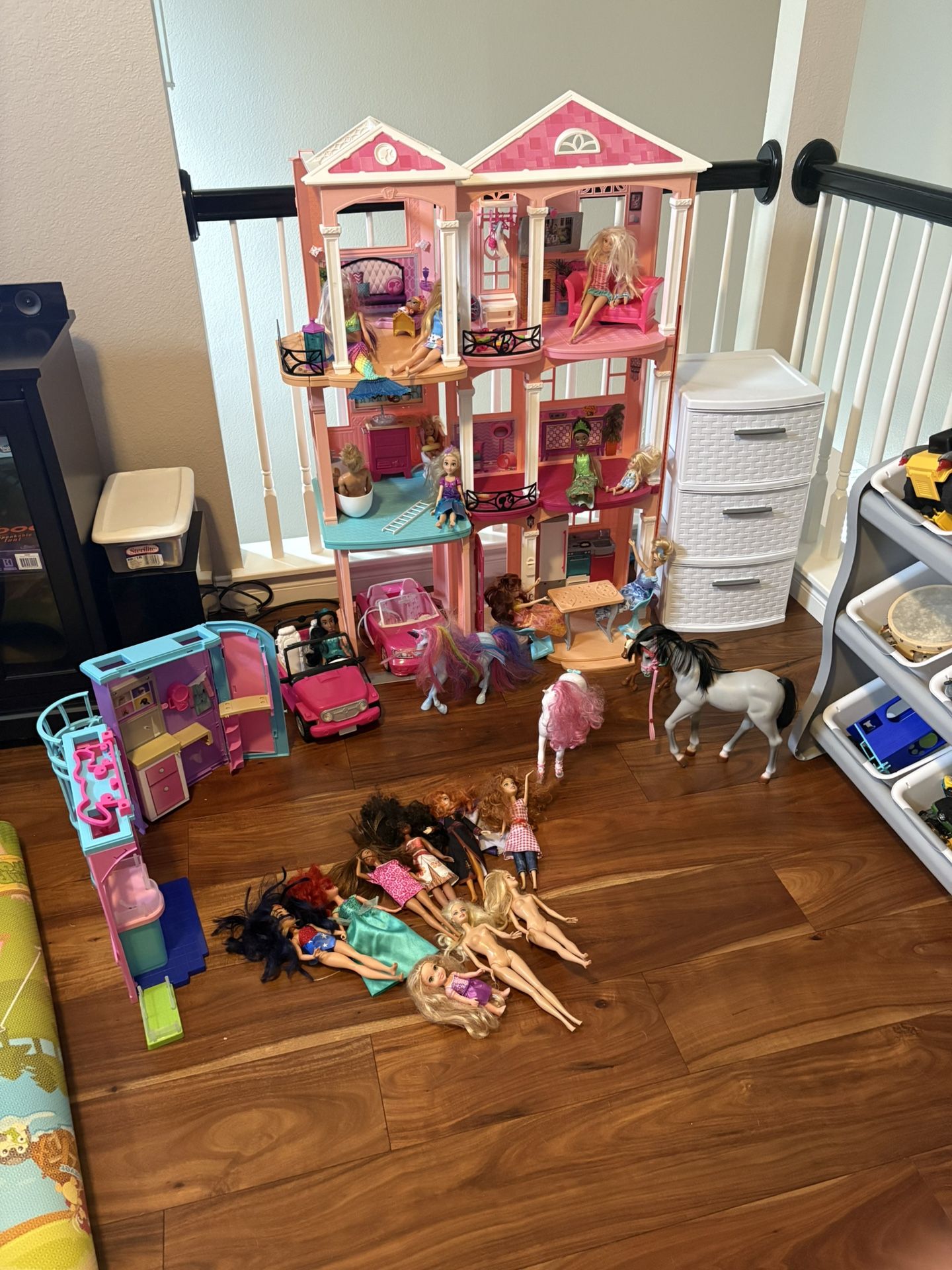 Barbie Dream House, Vehicles, Horses, and Dog Wash