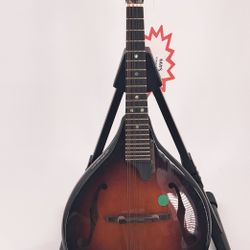 Mandolin Gold Tone Brand