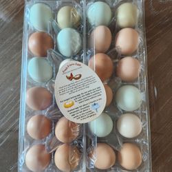 Organic Eggs