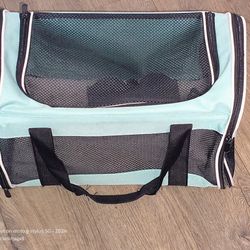 Small Teal Animal Carrier