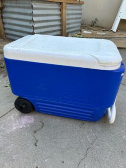 Igloo Cooler