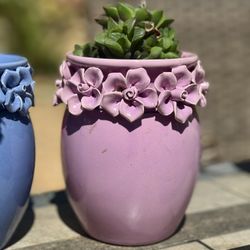 💖 Pink 3D Flowers Ceramic Planter -w Jade Dew Succulents 🪴