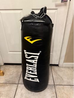 Everlast punching bag