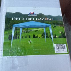 Tarp