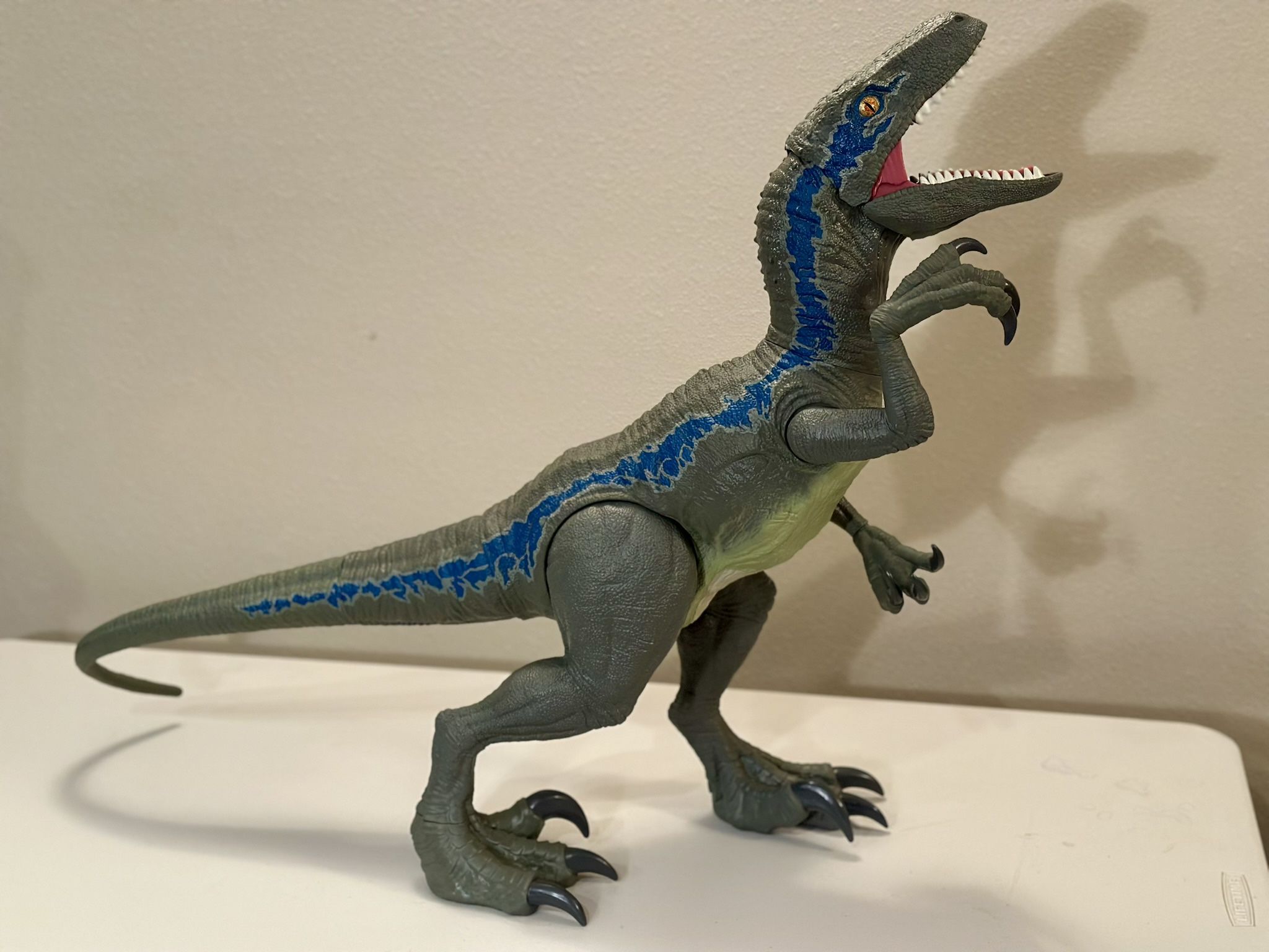 Jurassic World Super Colossal Velociraptor Blue is approximately 18-inches high and over 3 ½ feet long.