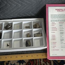 Fossils 