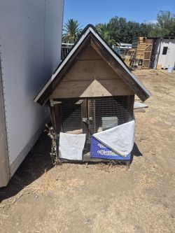 Rooster/chicken coop free.