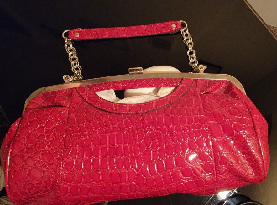 Bueno! Purse/Clutch