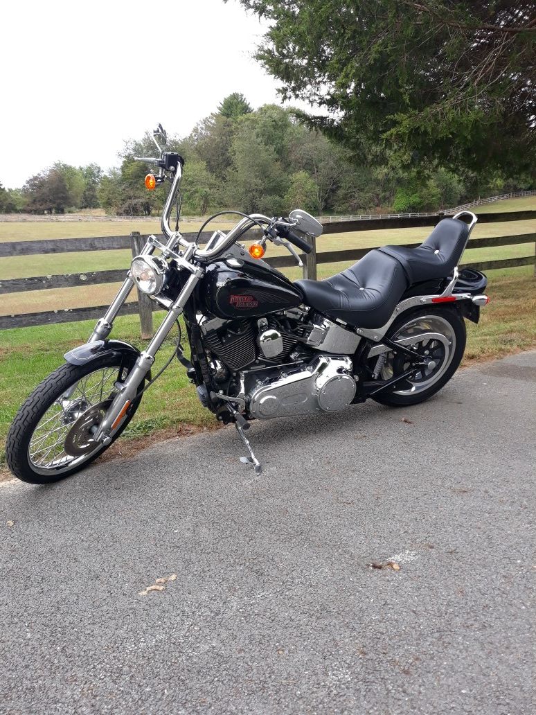 Harley Davidson Custom Softail FXSTC
