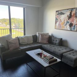 Grey Sectional Couch