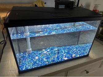 10 gallon aquarium set