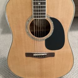 Guitar Michells MD100