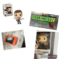 Shawn Mendez Pop Rock Figurine (Vaulted)And LED Lightbox  
