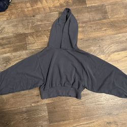 Aritzia Tna Cropped Hoodie (S)