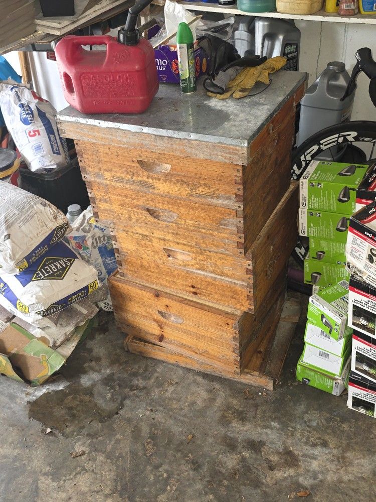 Bee HIVE