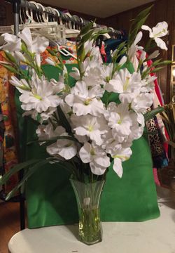 Beautiful Gladiolus in acrylic water