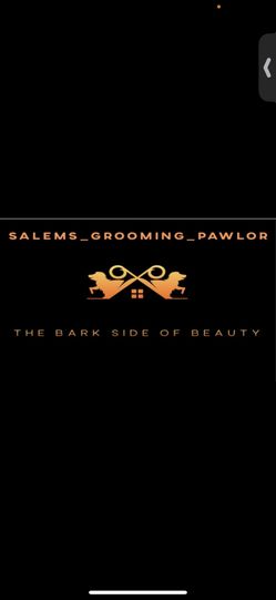 Dog Grooming Supplies