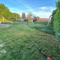 Heavy weeds & grass