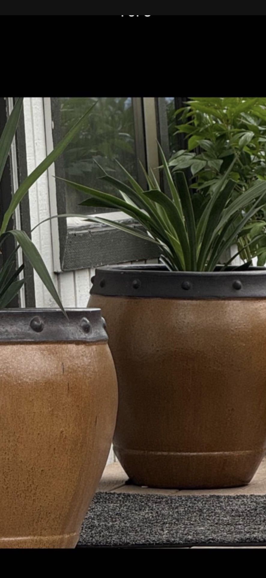 ABSOLUTELY GORGEOUS PAIR OF CERAMIC PLANTERS. Willing To Deliver!