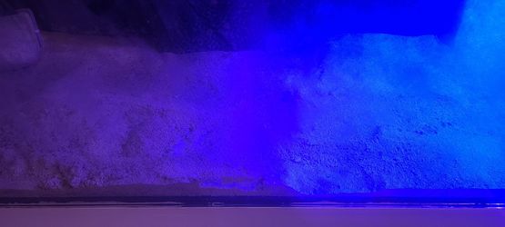 Red Sea 250 75 Gallon