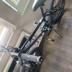 “20” Bmx Spinner 