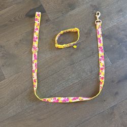 Lemon Print Dog Leash And Collar Set