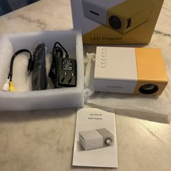Mini projector