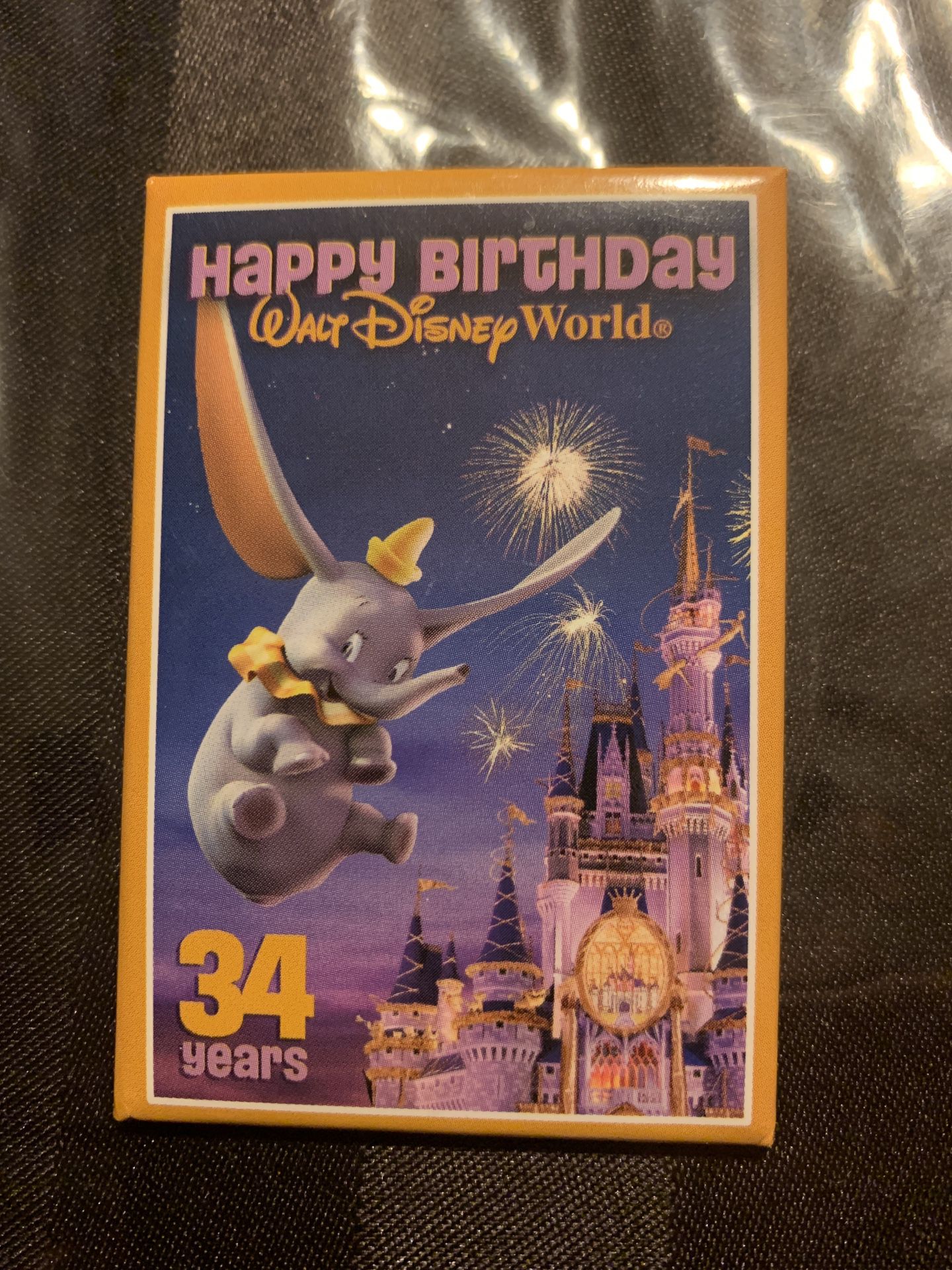 Disney World 2005 (34th Birthday) Cast Member Pin