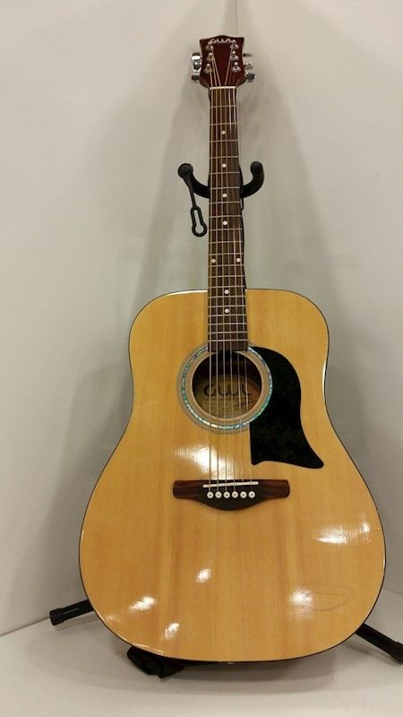 George Washburn Acoustic Guitar Model # GWLG1PAK N