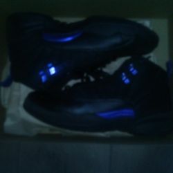 Jordan Retro 12 