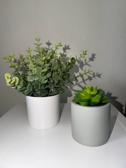 Artificial Plants Perfect for Room/dorm decor