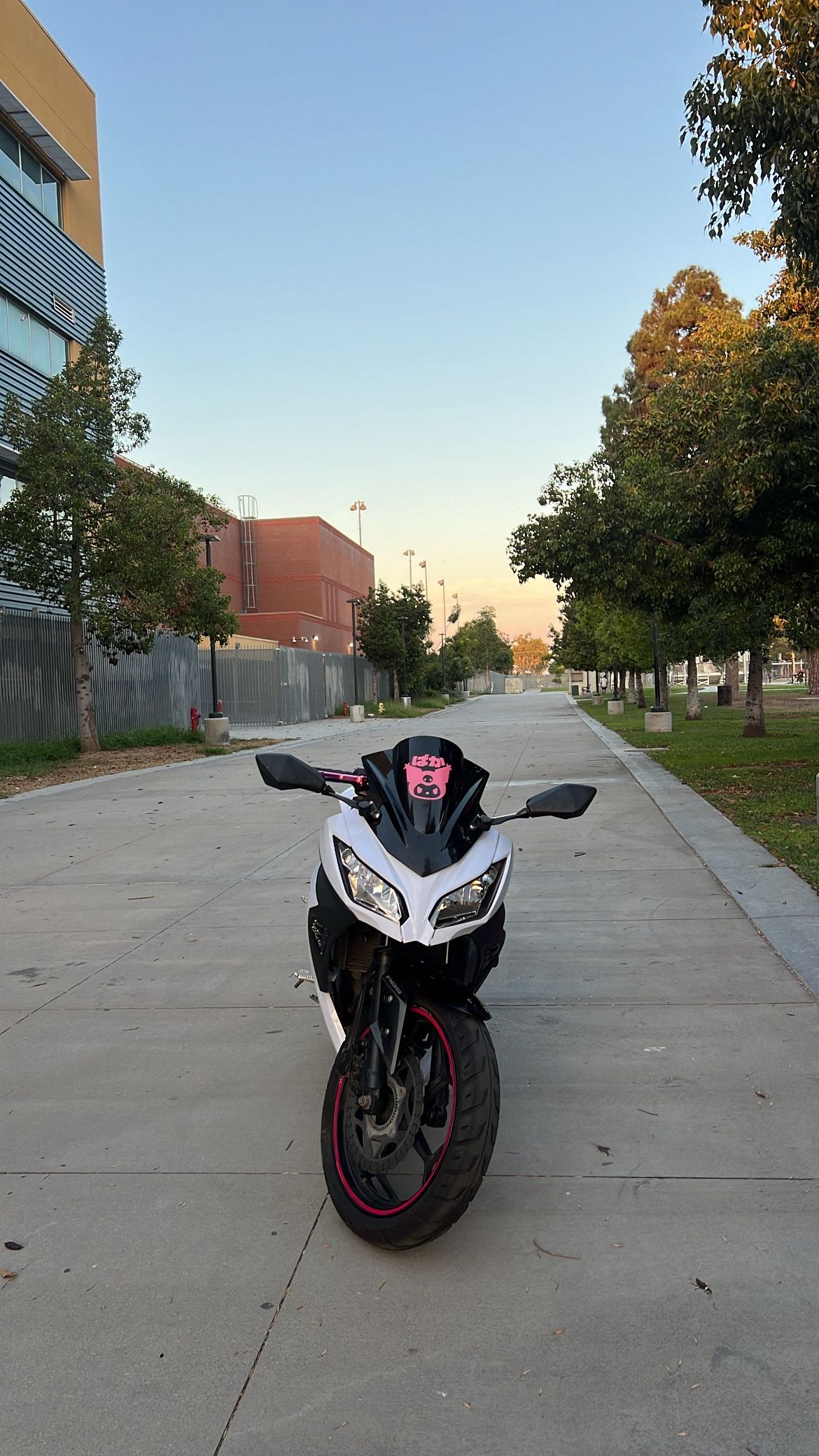 2014 ninja 300abs