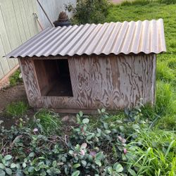 Dog House 