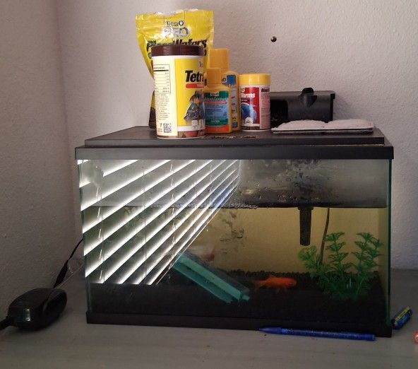 Fish Tank