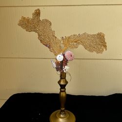 Coral And Seashell Brass Stand One Of A Kind Hand Made