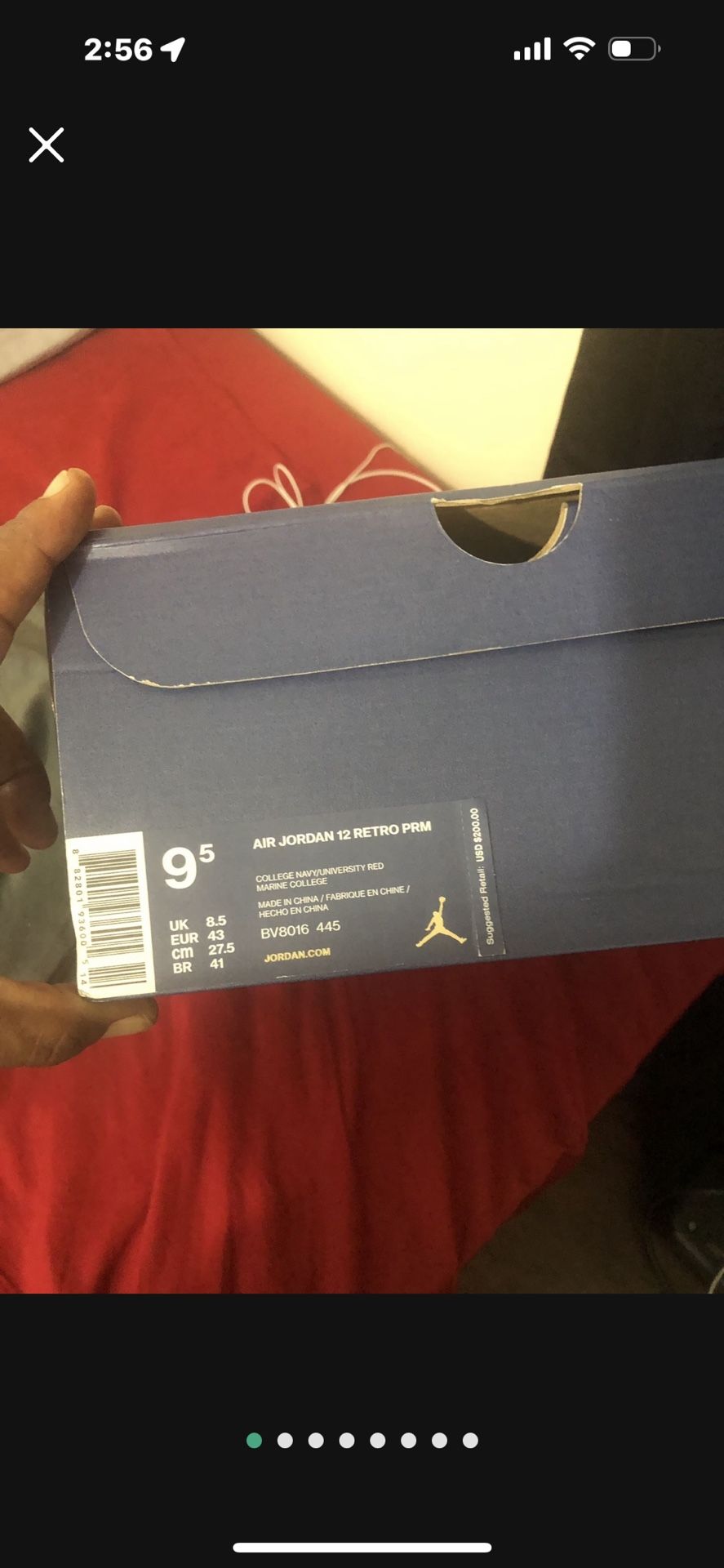Jordan international 12s