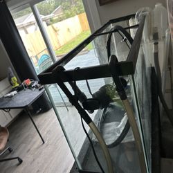 55 Gallon aquarium long
