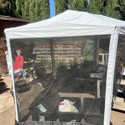 Coleman canopy
