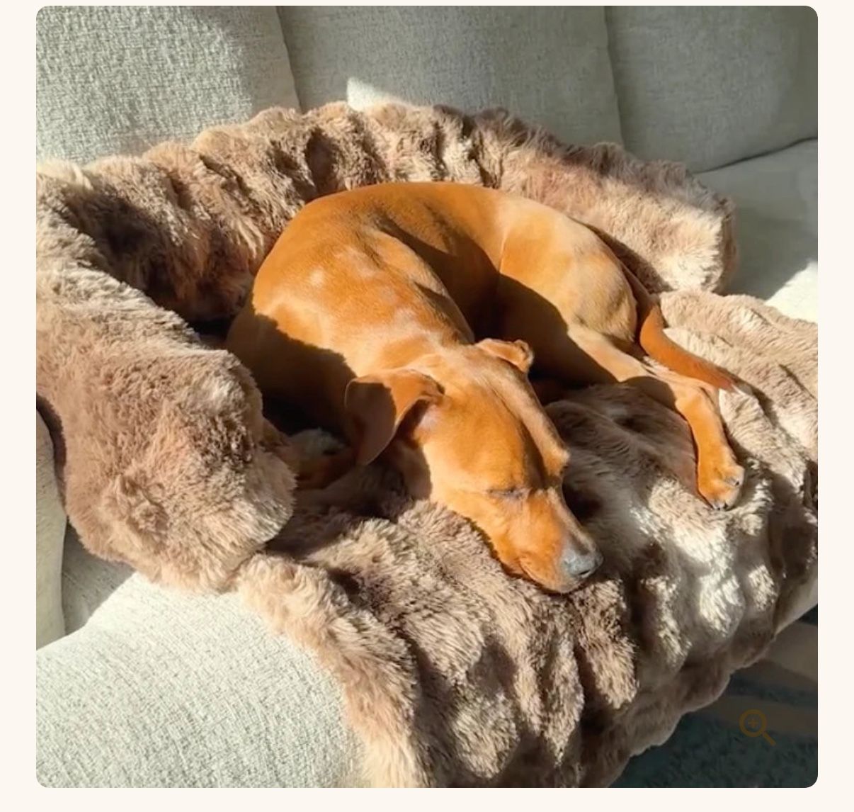 Pet Sofa Bed Ultra Soft Pelsbarn 