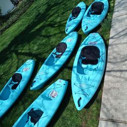 Brand New Kayaks $450.00  Each Paddles And Vest  Included