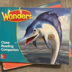 2-3rd grade literature work books