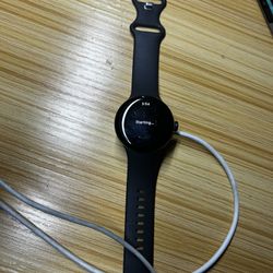 Pixel Watch 2
