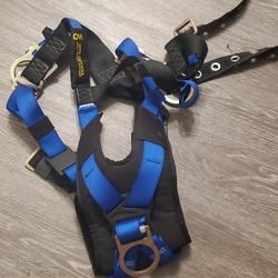  Safety Harness 